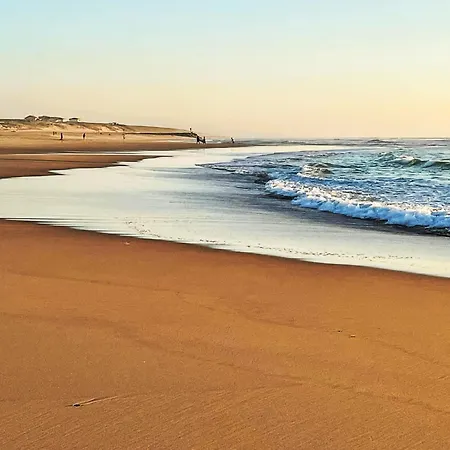 Tatil Evi Des Ailes-1 By Interhome Mimizan-Plage